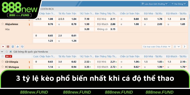 3 tỷ lệ kèo phổ biến nhất khi cá độ thể thao ở 888NEW