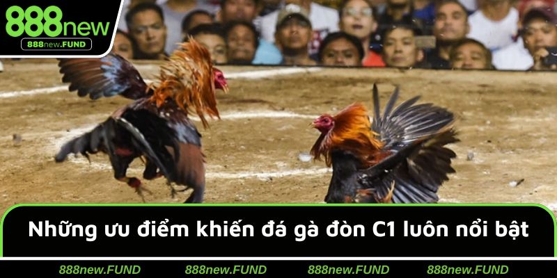 Điểm mạnh nổi trội trong sảnh đá gà đòn C1