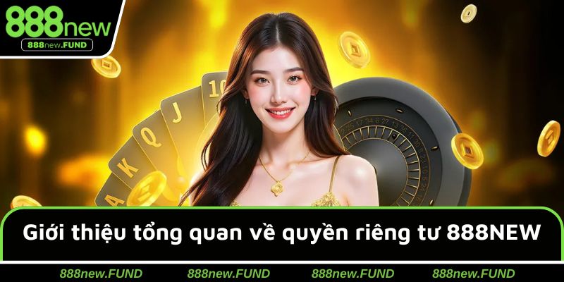 Giới thiệu tổng quan về quyền riêng tư 888NEW